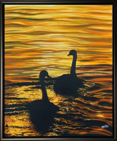 phil-ashley-sunset-swans