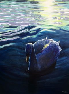 CAT No: 26 - PHIL ASHLEY - EVENING SWAN