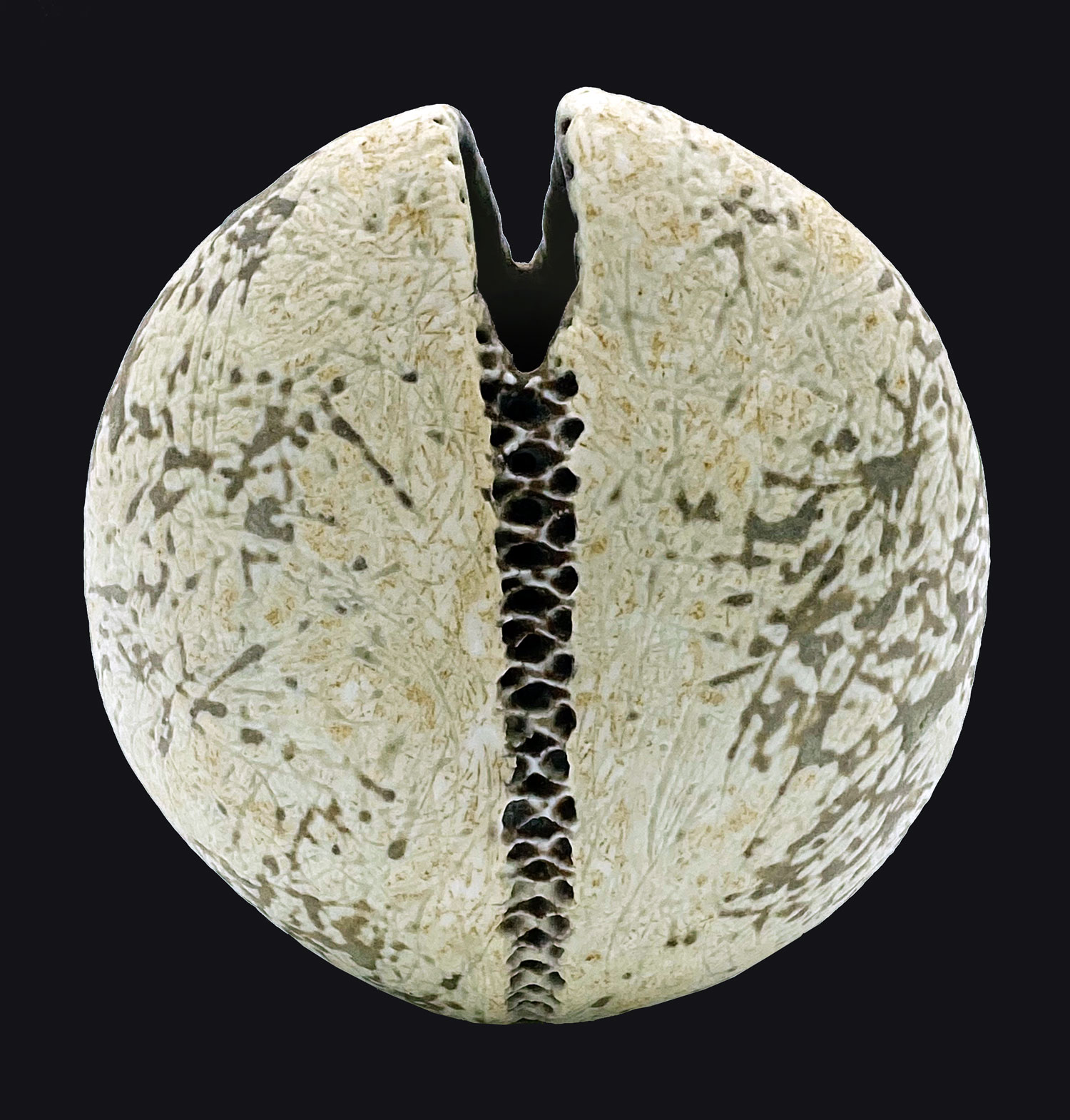 Alan Wallwork - Stoneware split form oval vessel 3
