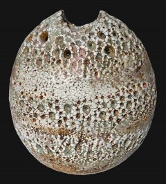 Alan Wallwork - Stoneware split form oval vessel 4