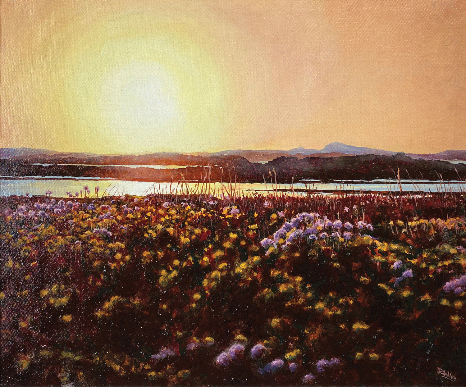 Lockdown Exhibition - Phil Ashley - Anglesey Sunset