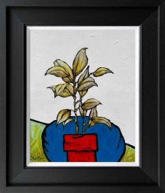 Steve Capper - The Red Pot