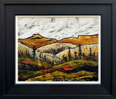 Steve Capper - The Colourful North