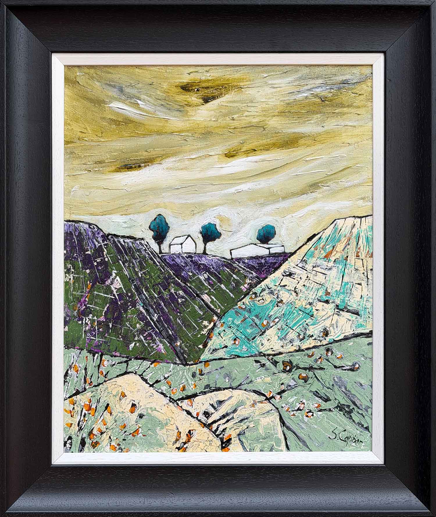 Steve Capper - Northern Landscape